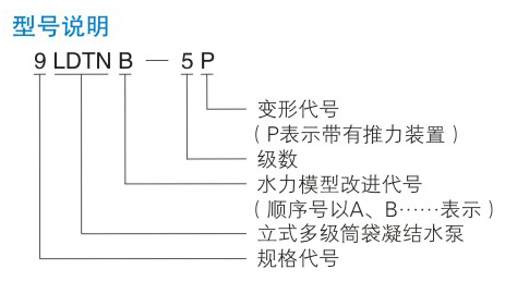 LDTN型凝結(jié)水泵型號(hào)說明